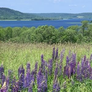 Meet your Posher, Mary lynn